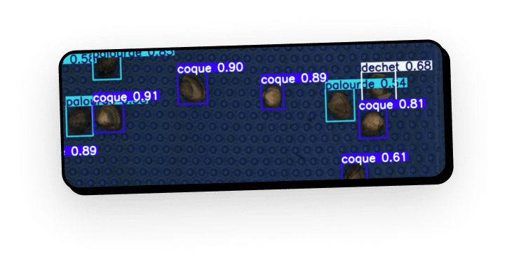 Détection par computer vision, tri de coquillages
